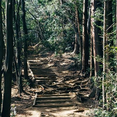 为医美行业舆情“痛点”开四味药方
