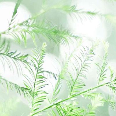 格斗战魂手游下载